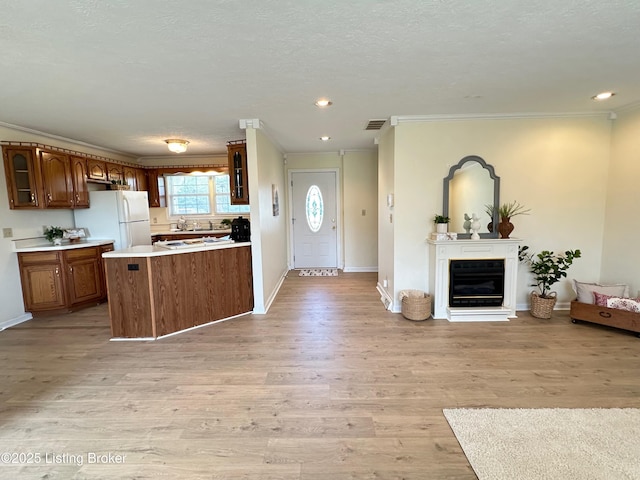 64 Probus Rd, Leitchfield, KY 42754 - kitchen featuring freestanding refrigerator, ornamental molding, open floor plan, glass insert cabinets, and light countertops