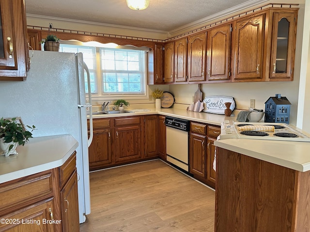 64 Probus Rd, Leitchfield, KY 42754 - kitchen with white appliances, ornamental molding, brown cabinets, light wood finished floors, and light countertops