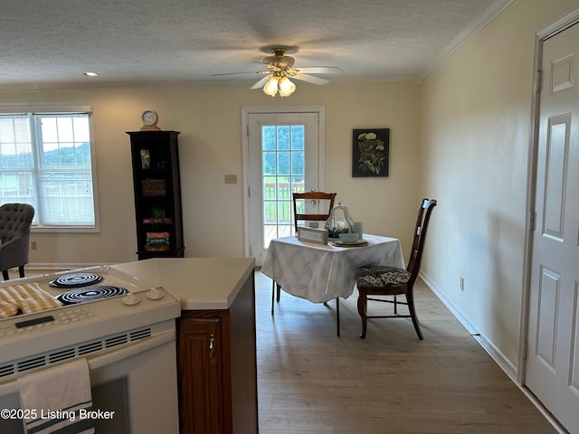 64 Probus Rd, Leitchfield, KY 42754 - kitchen featuring a textured ceiling, white range with electric stovetop, light wood finished floors, a ceiling fan, and ornamental molding