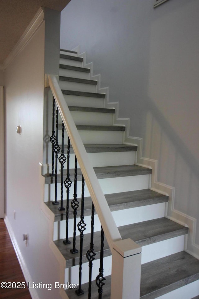 145 Ahlena Way, Springfield, KY 40069 - photo 7