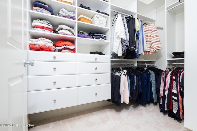 9508 Norton Commons Blvd Unit 102, Prospect, KY 40059 - spacious closet with carpet floors