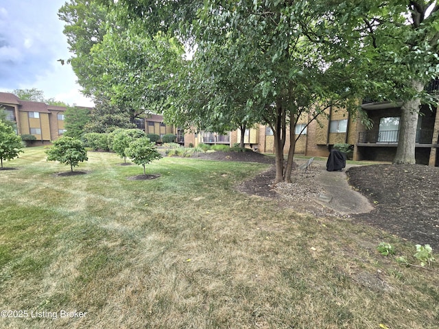 1600 Gardiner Ln Apt 106, Louisville, KY 40205 - photo 40