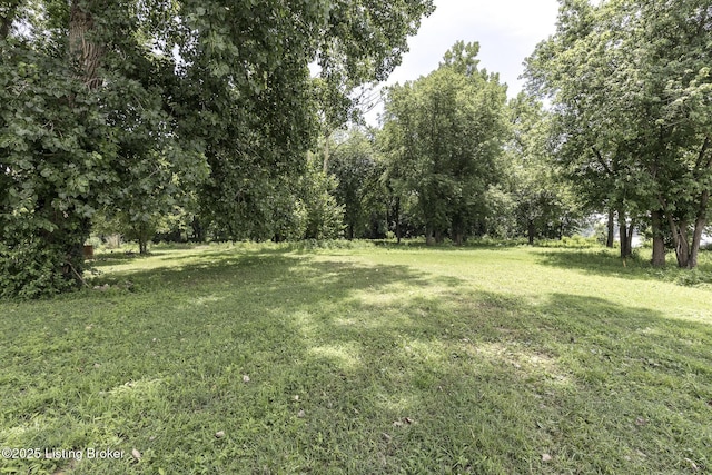 5209 River Rd, Louisville, KY 40222 - photo 23