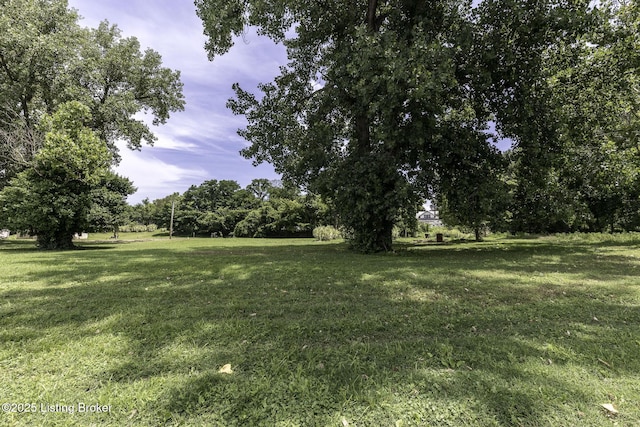 5209 River Rd, Louisville, KY 40222 - photo 25