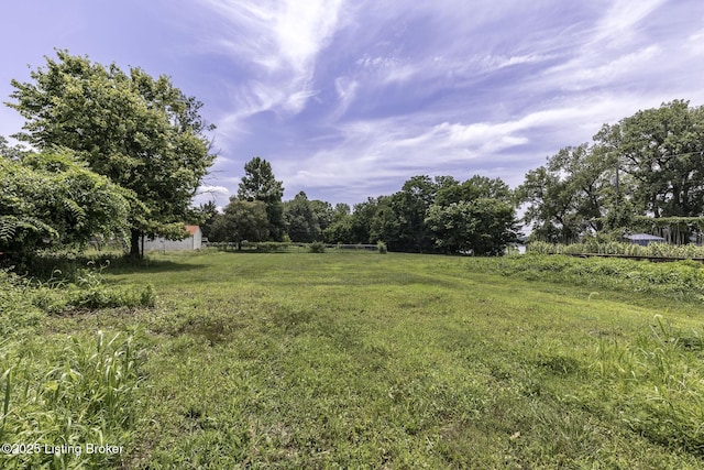 5209 River Rd, Louisville, KY 40222 - photo 44