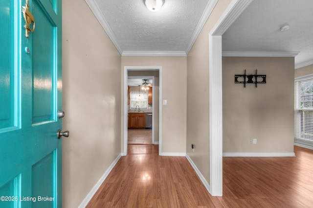 6801 Downs Branch Rd, Louisville, KY 40228 - photo 6