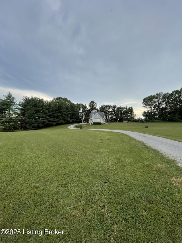 2459 Roberts Rd, Campbellsville, KY 42718 - photo 12