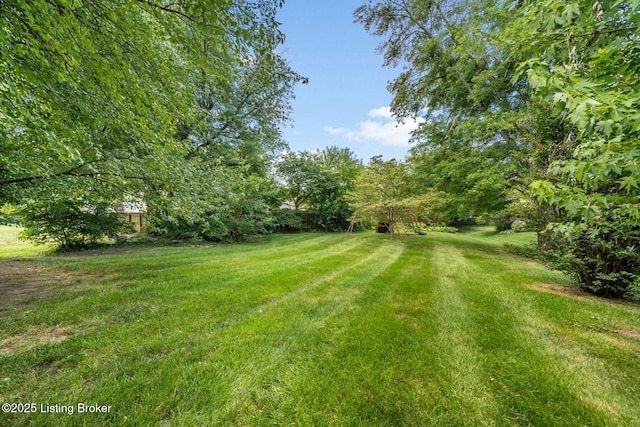 608 Winyan Ln, Louisville, KY 40223 - photo 24