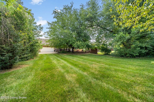 608 Winyan Ln, Louisville, KY 40223 - photo 25