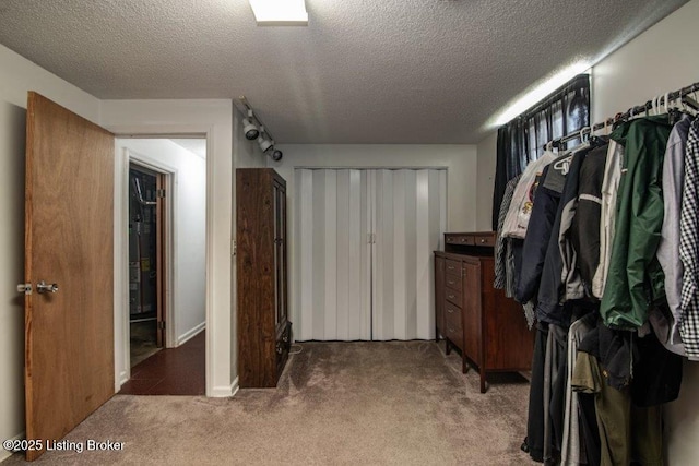 825 Crocus Dr, Radcliff, KY 40160 - spacious closet with carpet