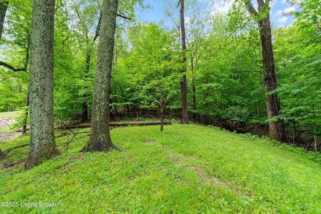 7430 Arnoldtown Rd, Louisville, KY 40214 - photo 46