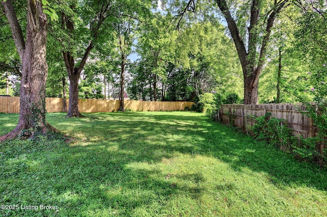 8807 Avondale Ct, Jeffersontown, KY 40299 - photo 44