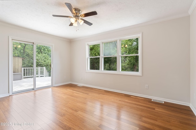 3312 Startan Ct, Louisville, KY 40220 - photo 10