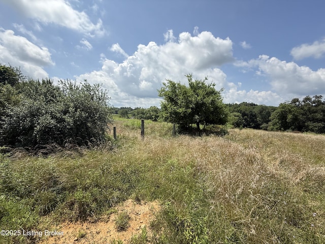 0 Tivitt Ln, Hardinsburg, KY 40143 - photo 4