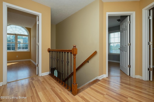 11703 Reality Trl, Louisville, KY 40229 - photo 41