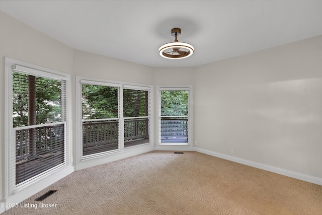 2917 Cliffwynde Trce, Louisville, KY 40241 - photo 21