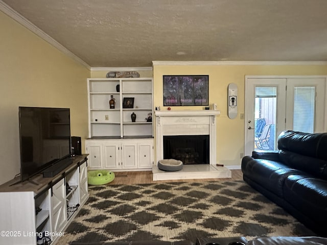 509 Piping Rock Rd, Brandenburg, KY 40108 - living room with crown molding, a fireplace with raised hearth, wood finished floors, and a textured ceiling