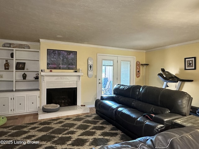 509 Piping Rock Rd, Brandenburg, KY 40108 - living area with ornamental molding, a fireplace with raised hearth, wood finished floors, and a textured ceiling