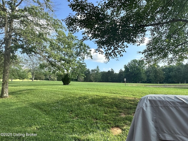 509 Piping Rock Rd, Brandenburg, KY 40108 - view of grassy yard