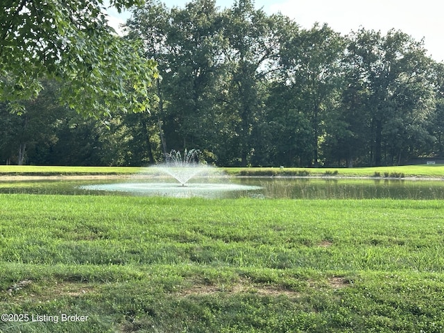 509 Piping Rock Rd, Brandenburg, KY 40108 - view of yard featuring a water view