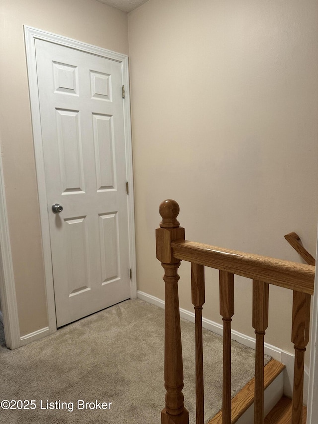 509 Piping Rock Rd, Brandenburg, KY 40108 - stairway with carpet flooring and baseboards