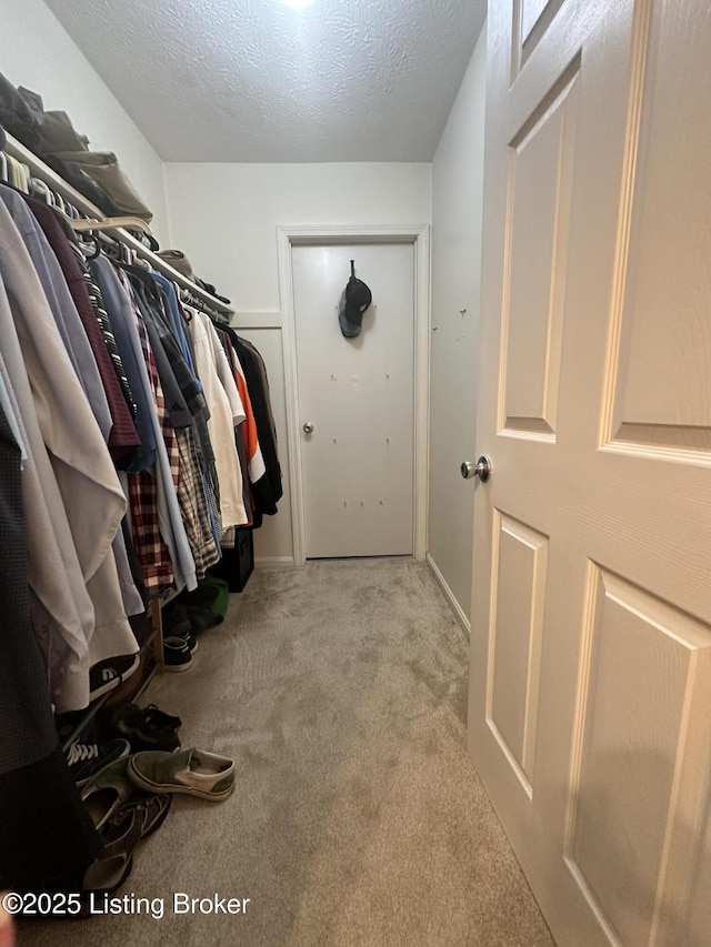 509 Piping Rock Rd, Brandenburg, KY 40108 - walk in closet featuring carpet floors