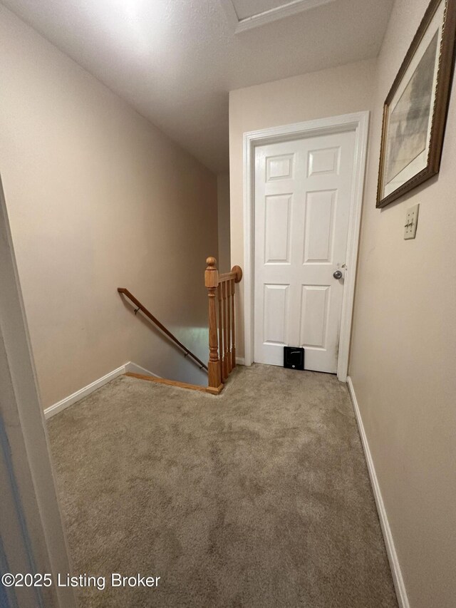 509 Piping Rock Rd, Brandenburg, KY 40108 - stairway with carpet and baseboards