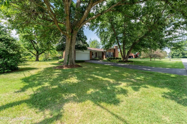 1508 Ocala Rd, Louisville, KY 40222 - photo 39