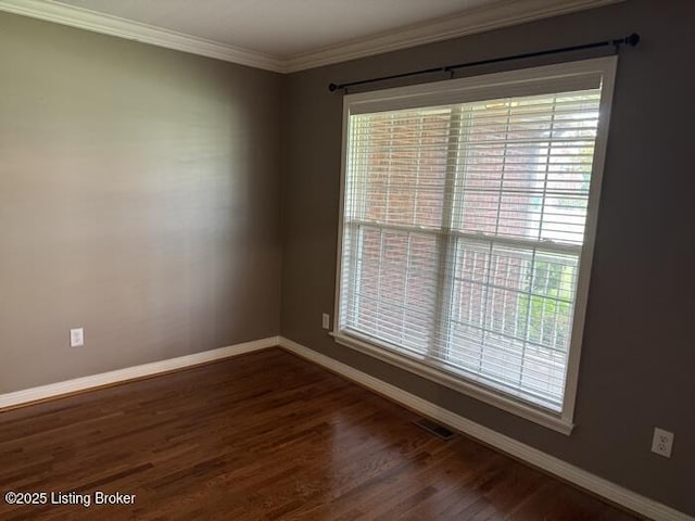 107 Deerfield Hills Rd, Elizabethtown, KY 42701 - photo 49