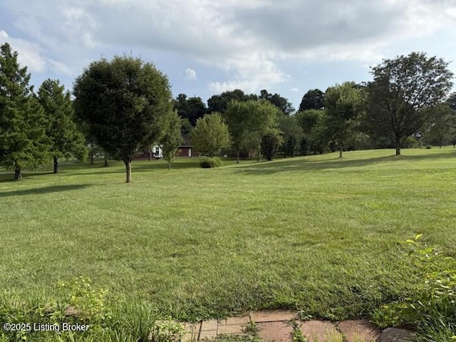 107 Deerfield Hills Rd, Elizabethtown, KY 42701 - photo 68