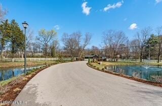 9011 Lyndon Lakes Pl, Louisville, KY 40242 - photo 25