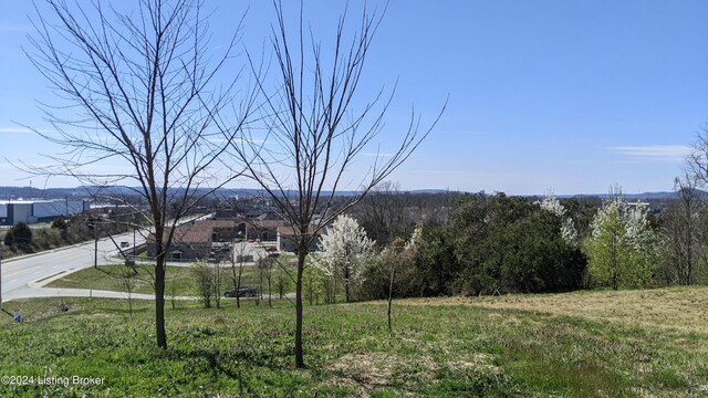 1265 N Buckman St, Shepherdsville, KY 40165 - photo 5