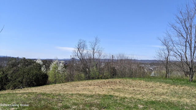 1265 N Buckman St, Shepherdsville, KY 40165 - photo 6