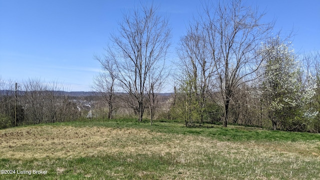 1265 N Buckman St, Shepherdsville, KY 40165 - photo 7