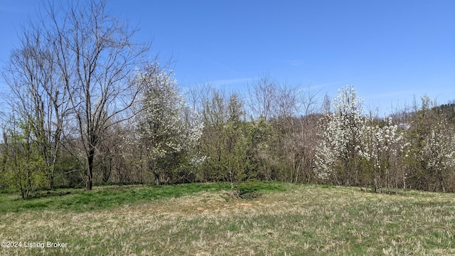 1265 N Buckman St, Shepherdsville, KY 40165 - photo 8