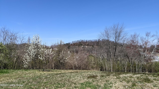 1265 N Buckman St, Shepherdsville, KY 40165 - photo 9
