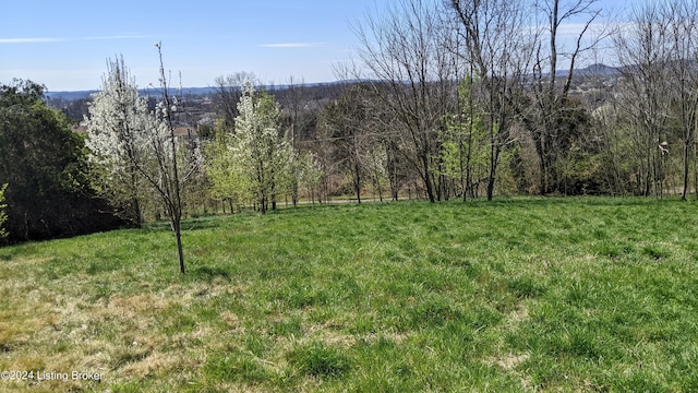 1265 N Buckman St, Shepherdsville, KY 40165 - photo 12