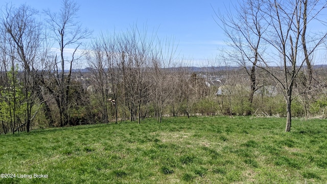 1265 N Buckman St, Shepherdsville, KY 40165 - photo 13
