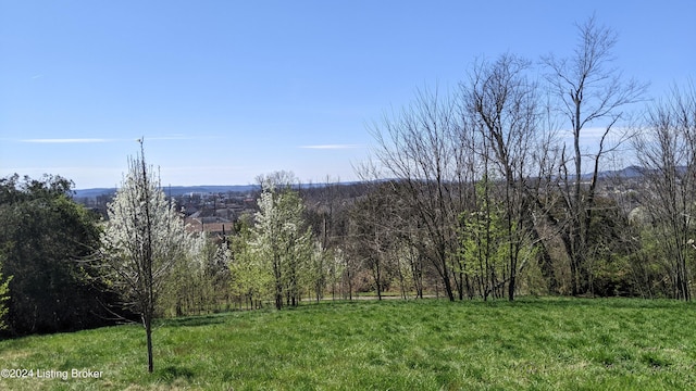 1265 N Buckman St, Shepherdsville, KY 40165 - photo 14