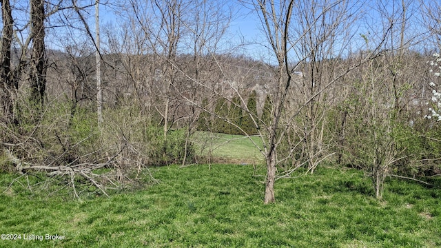 1265 N Buckman St, Shepherdsville, KY 40165 - photo 15