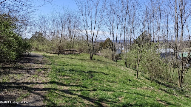 1265 N Buckman St, Shepherdsville, KY 40165 - photo 18