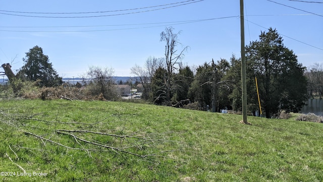 1265 N Buckman St, Shepherdsville, KY 40165 - photo 23