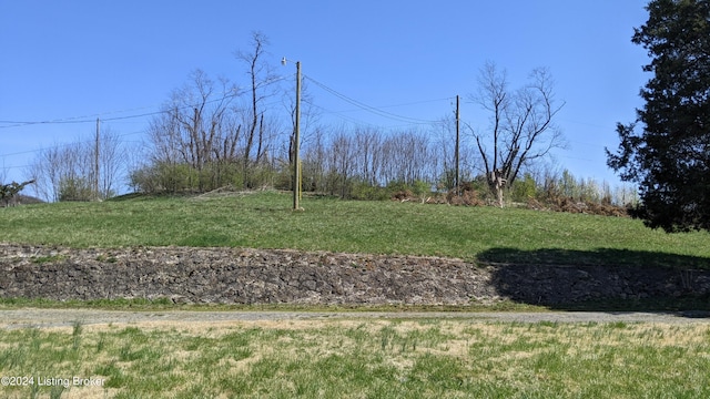 1265 N Buckman St, Shepherdsville, KY 40165 - photo 36