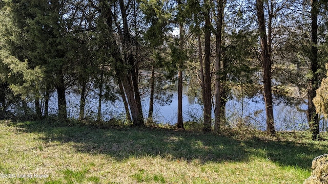 1265 N Buckman St, Shepherdsville, KY 40165 - photo 38