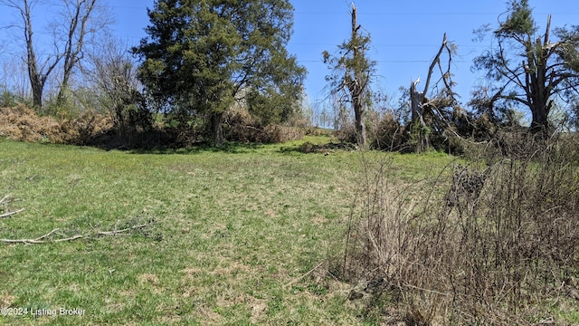 1265 N Buckman St, Shepherdsville, KY 40165 - photo 41