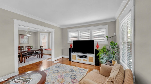 1910 Alfresco Pl, Louisville, KY 40205 - living area with plenty of natural light, wood finished floors, and crown molding