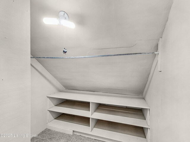 1910 Alfresco Pl, Louisville, KY 40205 - view of closet