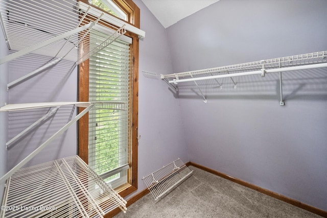 4710 Haeringdon Ct, Louisville, KY 40299 - photo 14