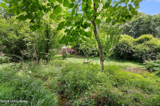 4710 Haeringdon Ct, Louisville, KY 40299 - photo 36