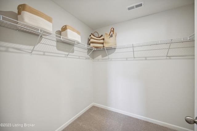 101 Curren Ct, Elizabethtown, KY 42701 - photo 25